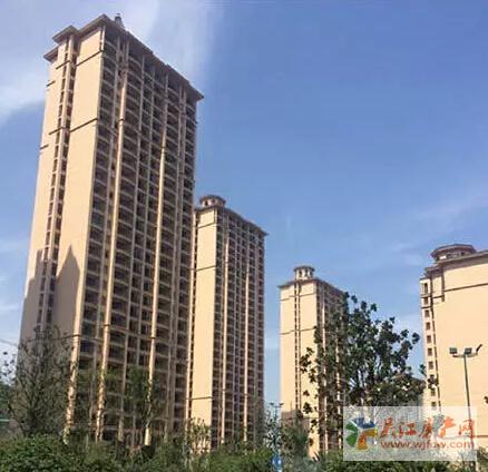 橡逸湾11#珍品现房即将盛情加推，现正火爆预约中！