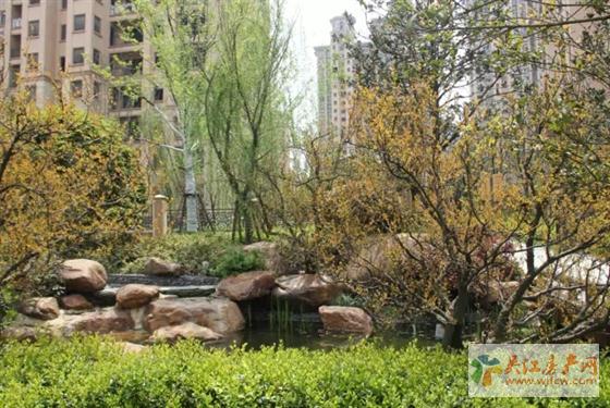 假期已过别难过，五月橡逸湾园林更惊艳